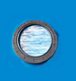 radial seal ring NBR