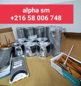 Révision moteur WECHAI WD615-46